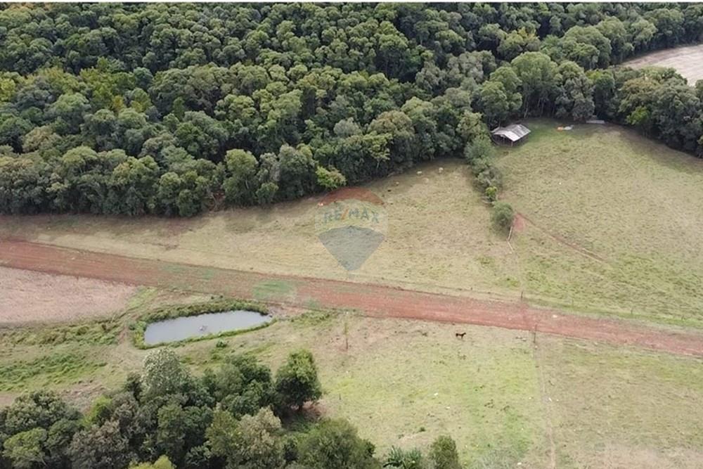 Chácara / Sítio / Fazenda - Venda - Trindade do Sul , Rio Grande do Sul - IMG-20250325-WA0058.jpg - 610231004-88