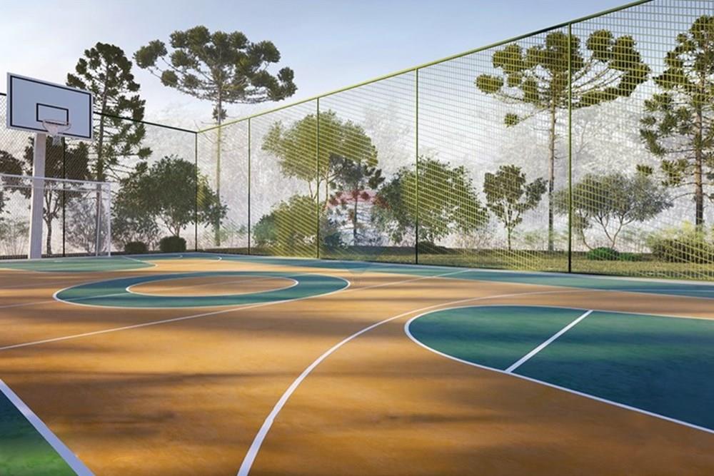 Terreno - Venda - São Francisco de Paula , Rio Grande do Sul - WhatsApp Image 2024-07-30 at 15.33.27.jpeg - 610131041-83