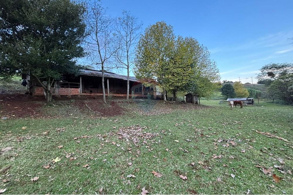Chácara / Sítio / Fazenda - Venda - Sarandi , Rio Grande do Sul - WhatsApp Image 2025-06-06 at 17.20.40 (1).jpeg - 610341006-377