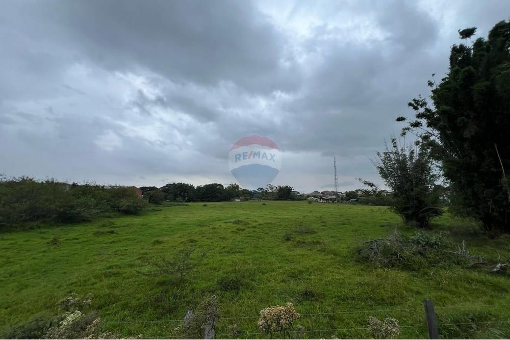 Chácara / Sítio / Fazenda - Venda - Glorinha , Rio Grande do Sul - IMG-20250403-WA0118.jpg - 610161100-29