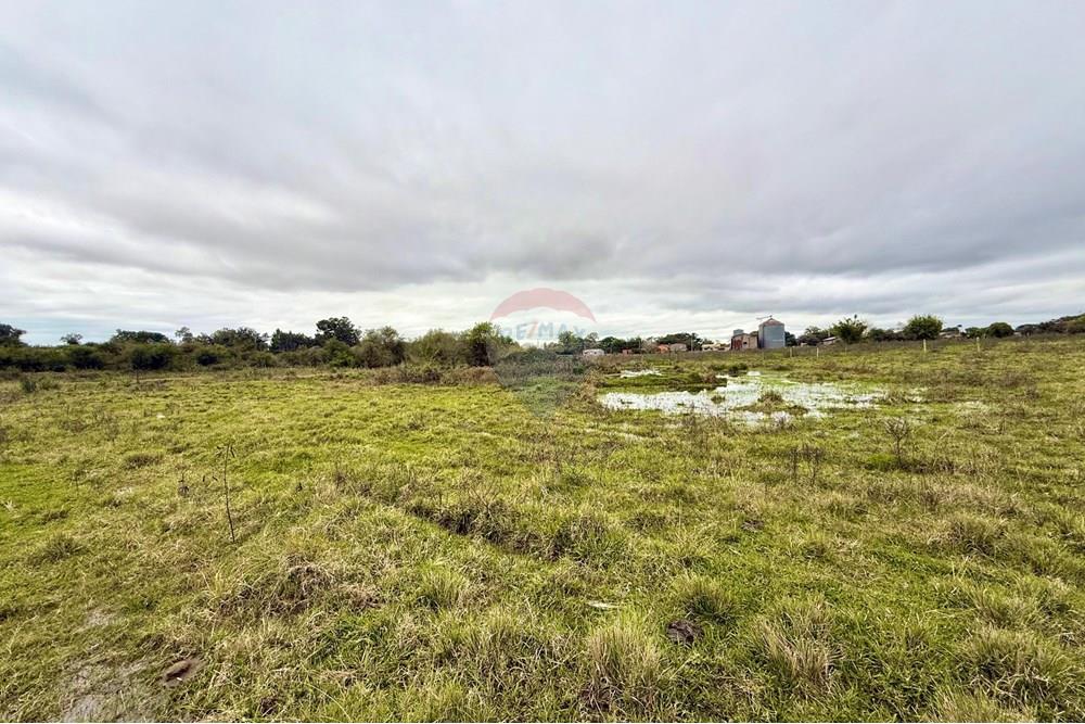 Chácara / Sítio / Fazenda - Venda - São Gabriel , Rio Grande do Sul - WhatsApp Image 2025-07-08 at 09.39.04 (1).jpeg - 612631045-18