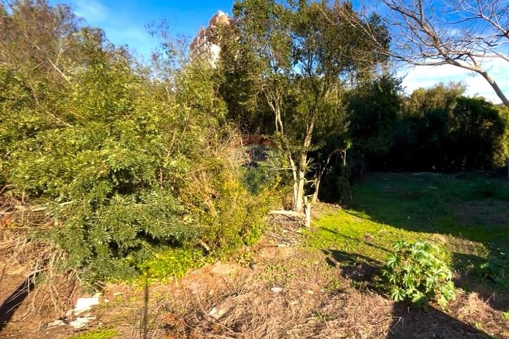 Terreno - Venda - Guaíba , Rio Grande do Sul - Imagem do WhatsApp de 2025-08-28 à(s) 16.10.21_259ce085.jpg - 612781019-11