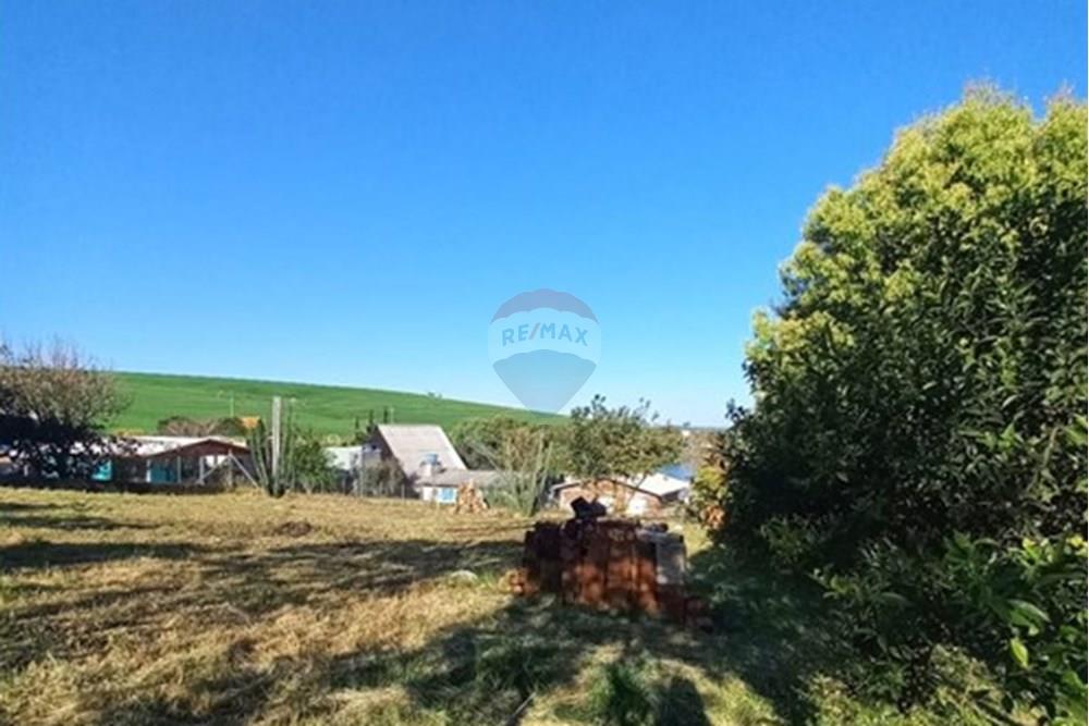 Terreno - Venda - Entre Rios do Sul , Rio Grande do Sul - WhatsApp Image 2025-09-10 at 00.59.21.jpeg - 610231035-3