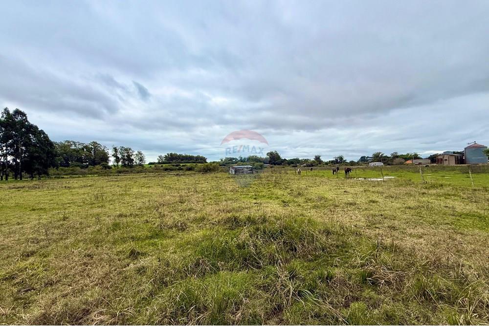 Chácara / Sítio / Fazenda - Venda - São Gabriel , Rio Grande do Sul - WhatsApp Image 2025-07-08 at 09.39.03 (4).jpeg - 612631045-18