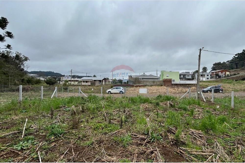 Terreno - Venda - Barão de Cotegipe , Rio Grande do Sul - WhatsApp Image 2025-08-09 at 14.34.26 (4).jpeg - Fachada - 612761035-8