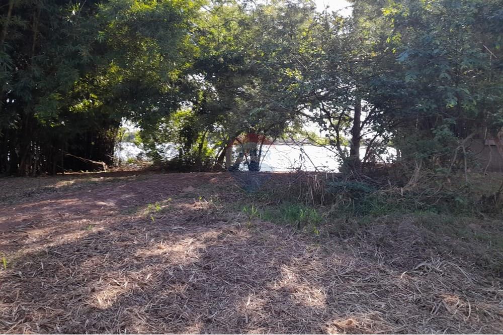 Terreno - Venda - Porto Alegre , Rio Grande do Sul - WhatsApp Image 2025-03-21 at 16.28.43 (1).jpeg - 612551005-104