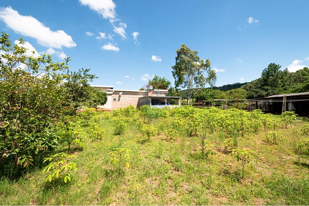 Chácara / Sítio / Fazenda - Venda - Novo Hamburgo , Rio Grande do Sul - DSC_3360.jpg - 610261015-33