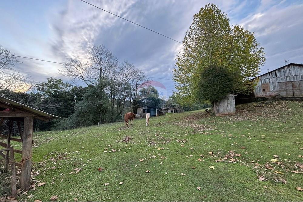 Chácara / Sítio / Fazenda - Venda - Sarandi , Rio Grande do Sul - WhatsApp Image 2025-06-06 at 17.20.42.jpeg - 610341006-377