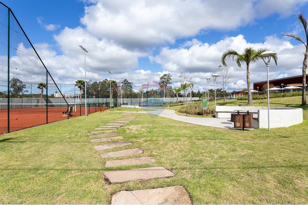 Terreno - Venda - Santa Maria , Rio Grande do Sul - IMG_6808.jpg - 610311051-85