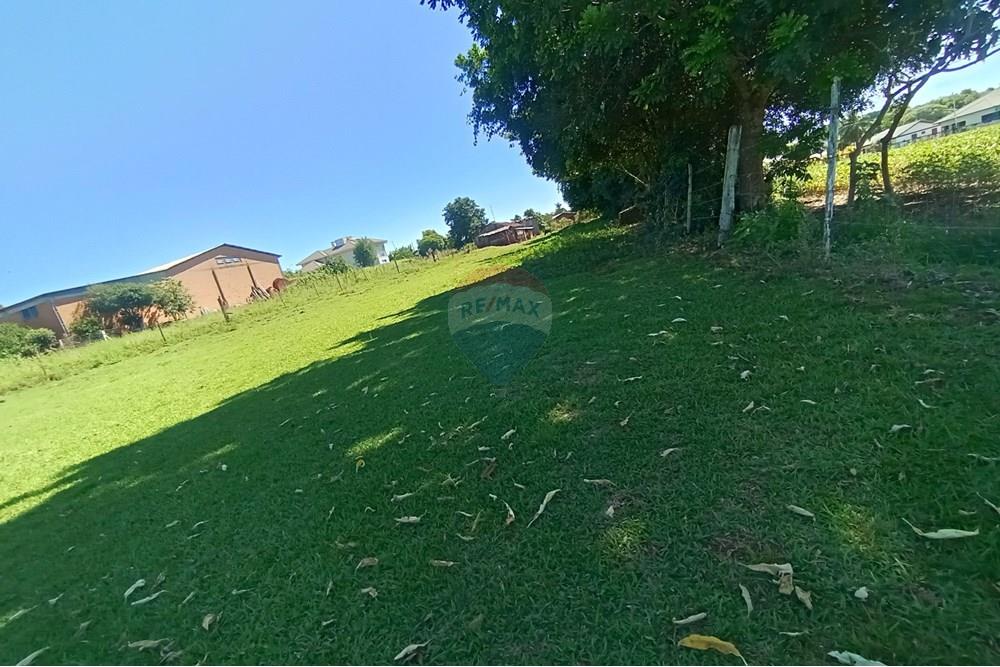 Chácara / Sítio / Fazenda - Venda - Saldanha Marinho , Rio Grande do Sul - IMG_20250307_145705.jpg - 612701007-124