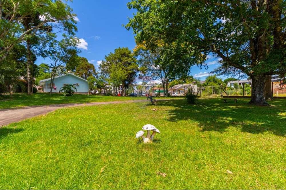 Casa - Alugar - Passo Fundo , Rio Grande do Sul - g13_6325_88900_1504_230623.jpeg - 610271045-1271