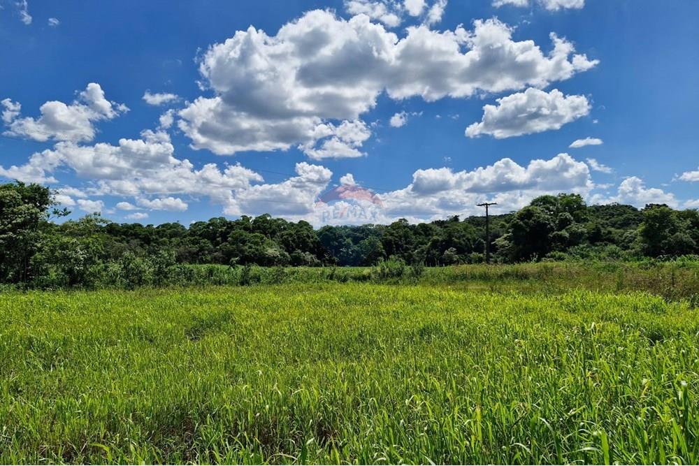 Chácara / Sítio / Fazenda - Venda - Nonoai , Rio Grande do Sul - Imagem do WhatsApp de 2025-01-07 à(s) 15.48.19_a15f1301.jpg - 610231004-83