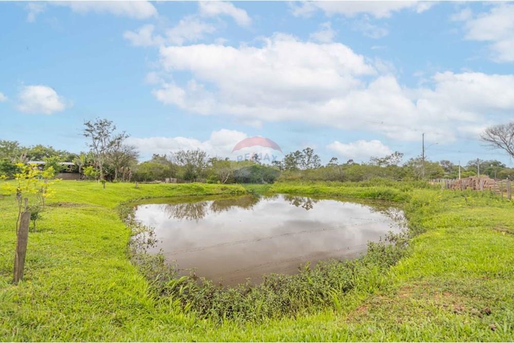 Chácara / Sítio / Fazenda - Venda - Gravataí , Rio Grande do Sul - WhatsApp Image 2025-06-23 at 21.16.32.jpeg - 610381108-10