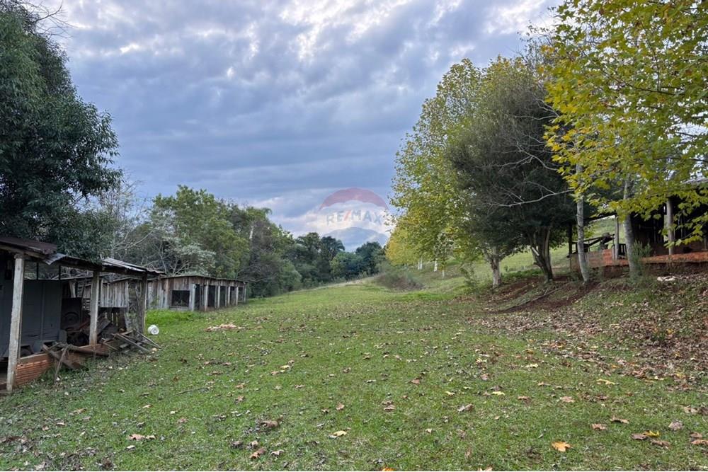 Chácara / Sítio / Fazenda - Venda - Sarandi , Rio Grande do Sul - WhatsApp Image 2025-06-06 at 17.20.41.jpeg - 610341006-377