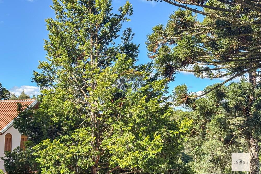 Casa - Venda - Flores da Cunha , Rio Grande do Sul - IMG_2645_jpg.jpg - 610301006-63