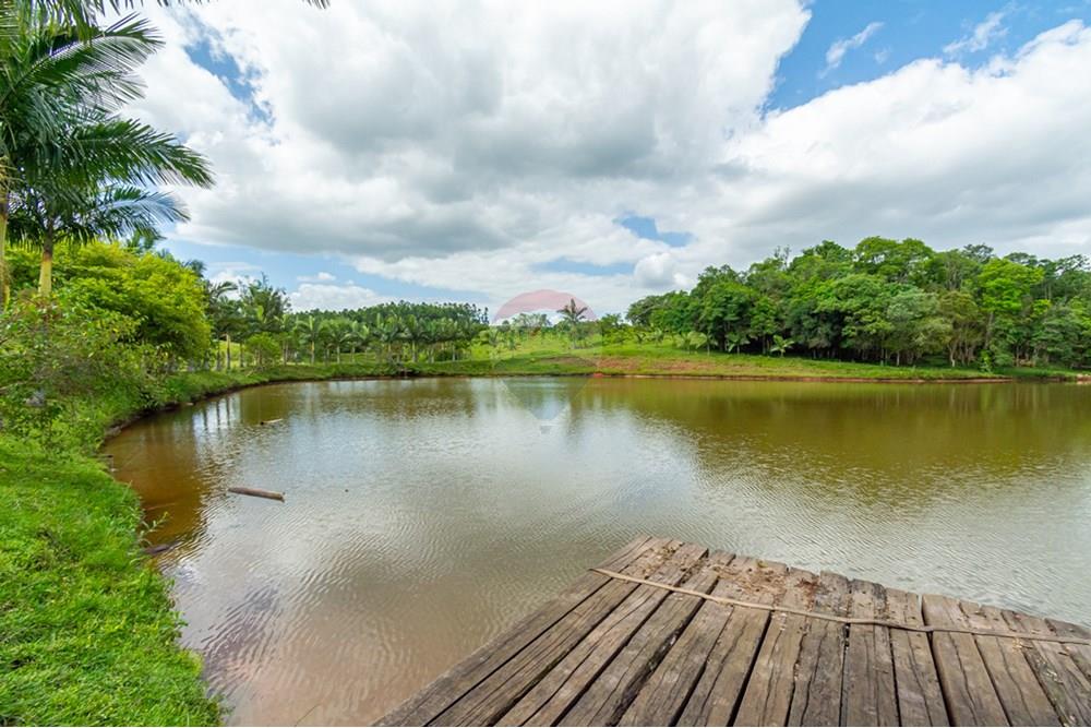 Terreno - Venda - Gravataí , Rio Grande do Sul - _DSC4958.jpg - 610161057-39