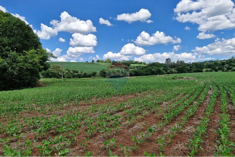 Chácara / Sítio / Fazenda - Venda - Nonoai , Rio Grande do Sul - IMG-20250107-WA0092.jpg - 610231004-83