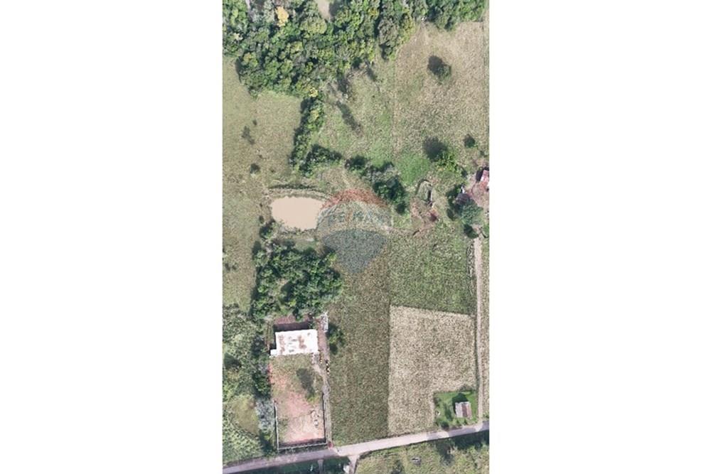 Chácara / Sítio / Fazenda - Venda - Santa Cruz do Sul , Rio Grande do Sul - IMG-20250611-WA0010.jpg - 612741028-24