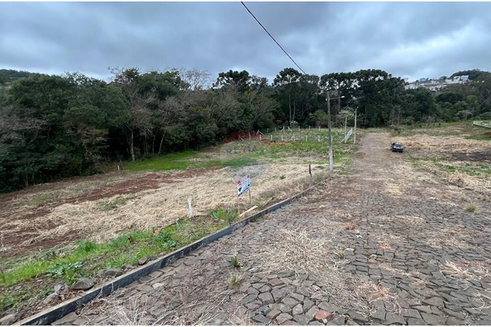 Terreno - Venda - Barão de Cotegipe , Rio Grande do Sul - WhatsApp Image 2025-08-09 at 14.36.36 (4).jpeg - Fachada - 612761035-7