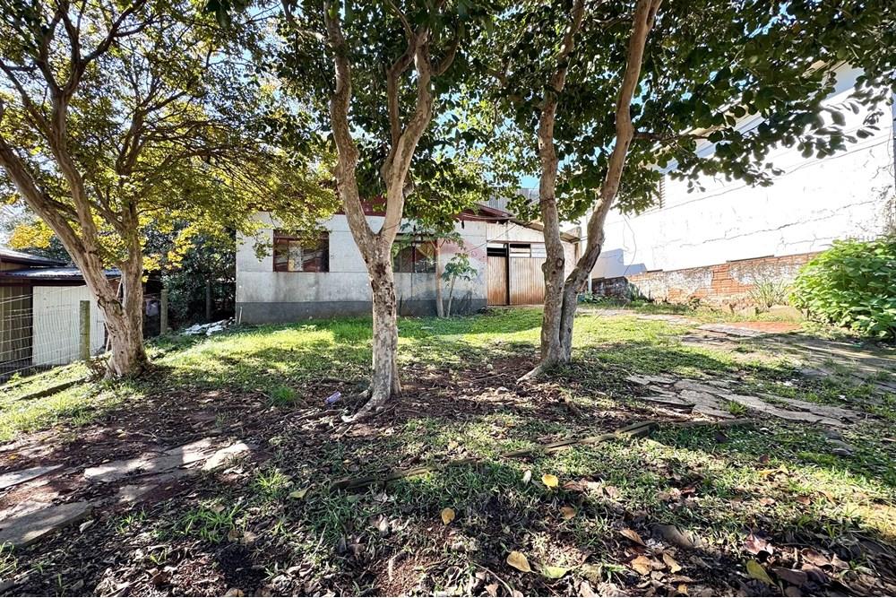 Terreno - Venda - Passo Fundo , Rio Grande do Sul - IMG_5608.jpeg - 610071006-1046