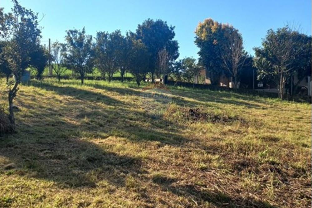 Terreno - Venda - Entre Rios do Sul , Rio Grande do Sul - WhatsApp Image 2025-09-10 at 00.59.33.jpeg - 610231035-3