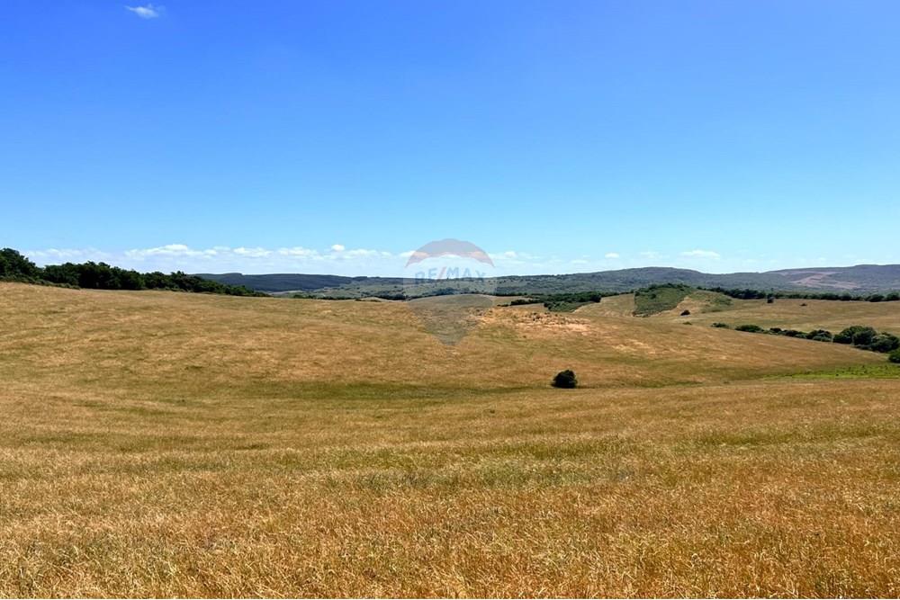 Chácara - Venda - Lavras do Sul , Rio Grande do Sul - WhatsApp Image 2025-01-13 at 23.12.50.jpeg - 612631031-7