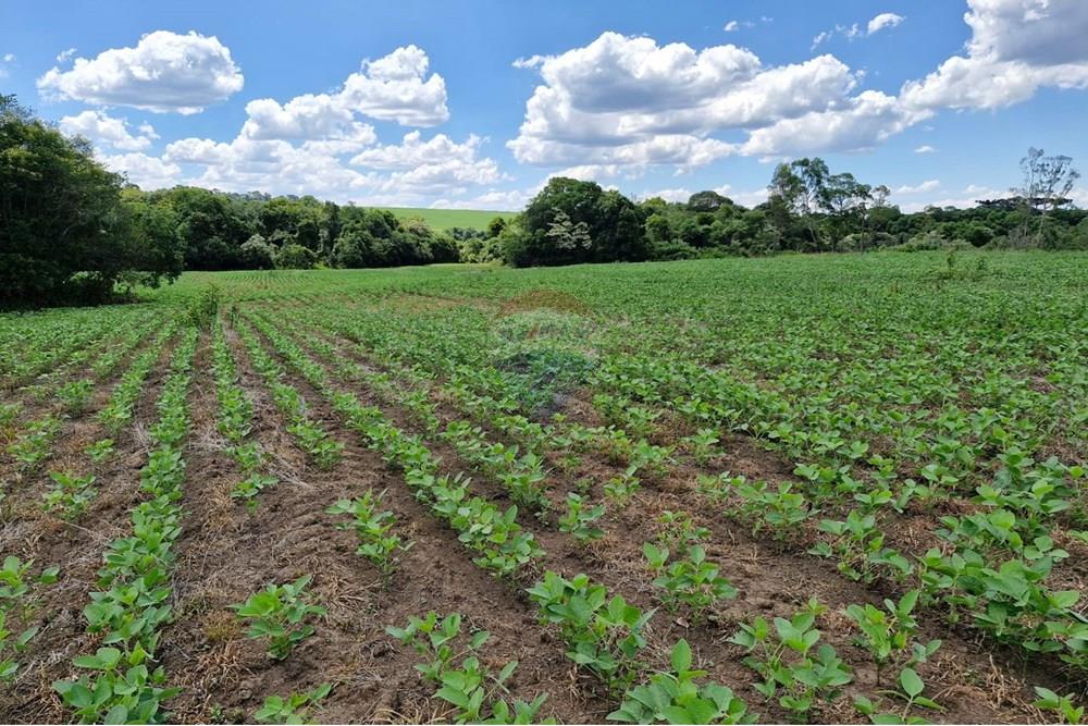 Chácara / Sítio / Fazenda - Venda - Nonoai , Rio Grande do Sul - IMG-20250107-WA0089.jpg - 610231004-83