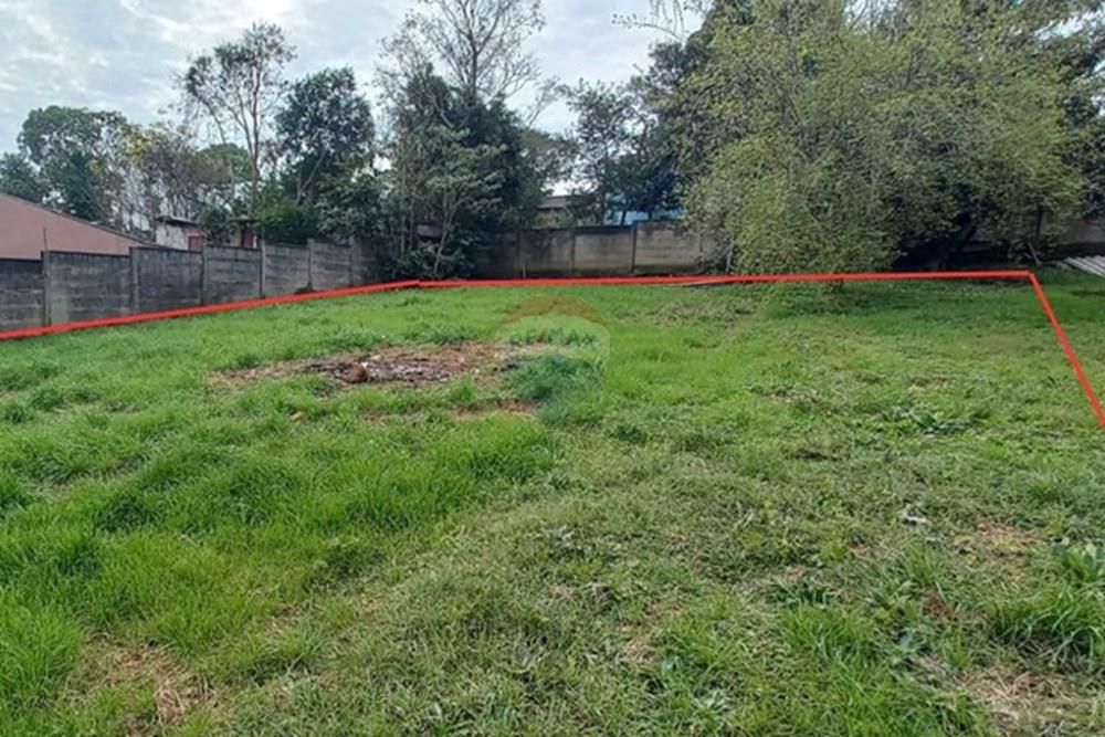 Terreno - Venda - Passo Fundo , Rio Grande do Sul - 842d045f-80fa-4200-a2a6-ed07c6e28606.jpeg - 610351071-6