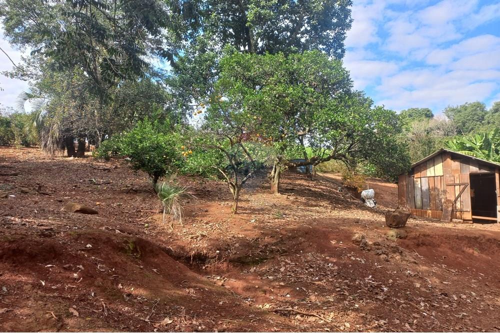 Chácara / Sítio / Fazenda - Venda - Nonoai , Rio Grande do Sul - 1000558517.jpg - 610231010-128