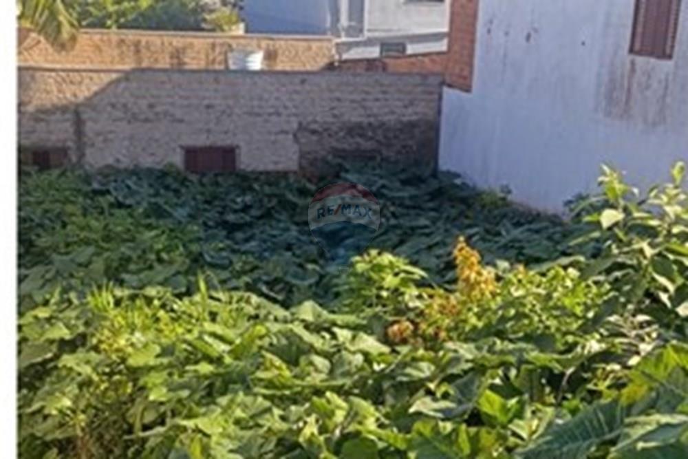 Terreno - Venda - Novo Hamburgo , Rio Grande do Sul - WhatsApp Image 2025-06-26 at 14.43.53 (1).jpeg - 610461003-16