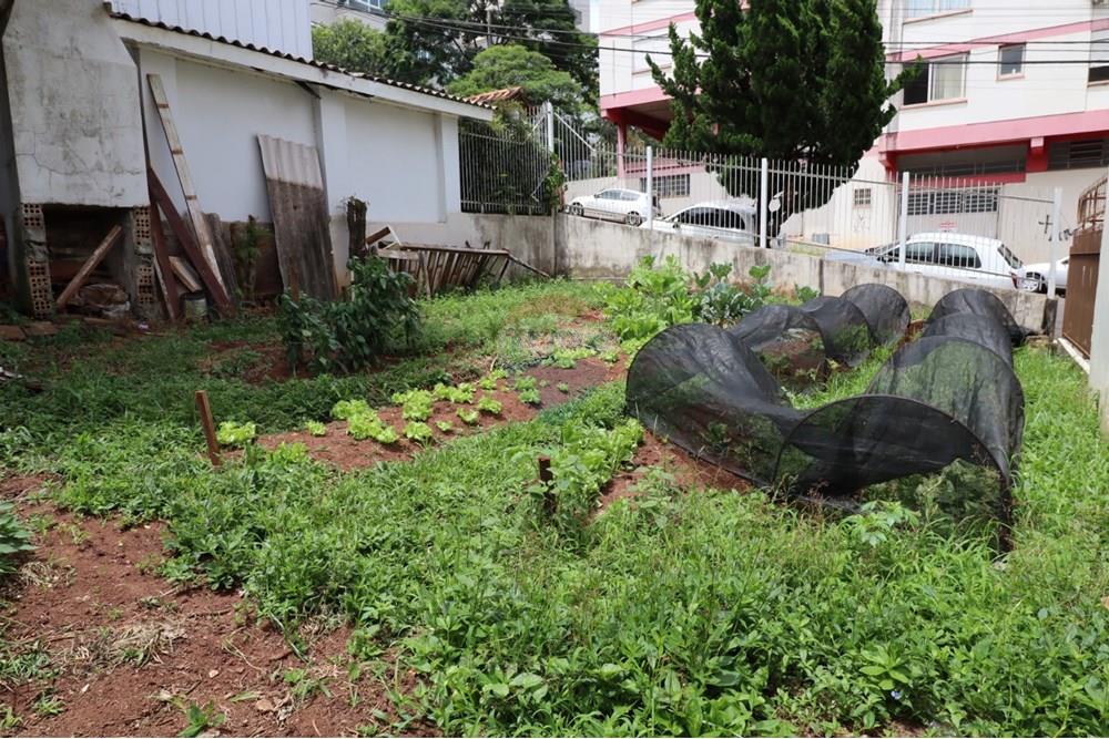 Terreno - Venda - Passo Fundo , Rio Grande do Sul - IMG-20241210-WA0003.jpg - 610271075-14