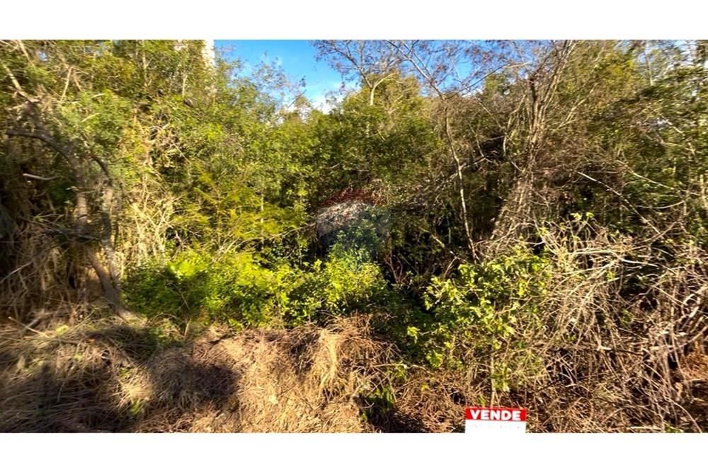 Terreno - Venda - Guaíba , Rio Grande do Sul - Imagem do WhatsApp de 2025-07-25 à(s) 19.59.59_128c9828.jpg - 612781019-5