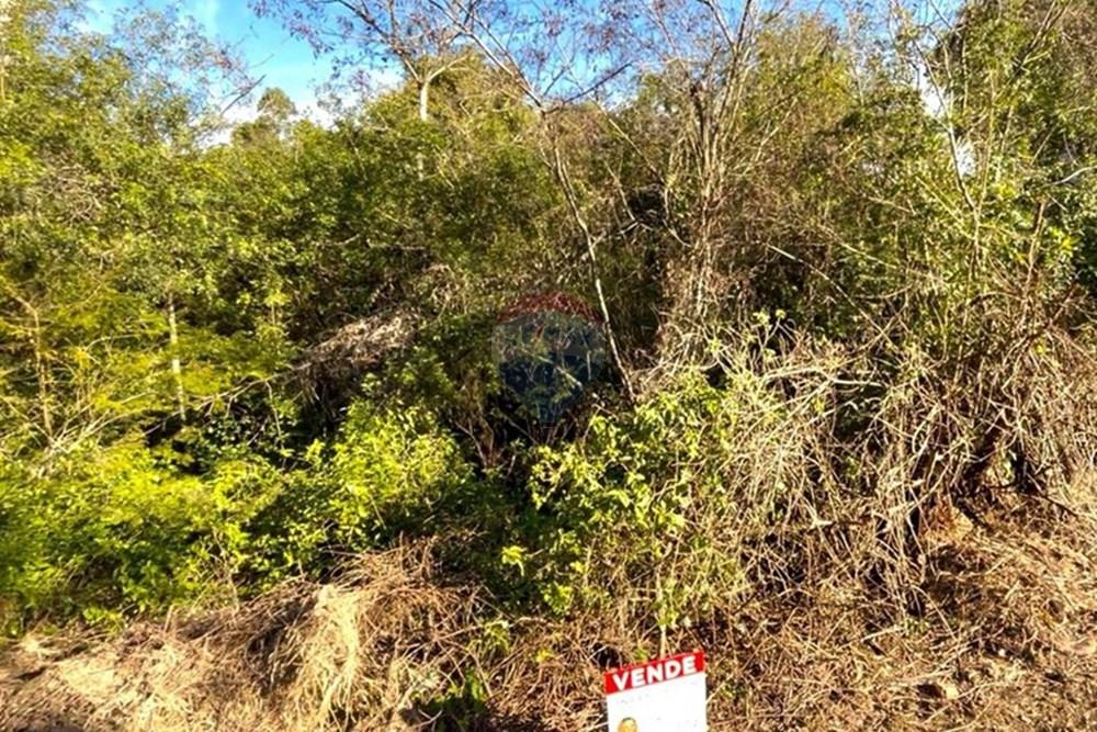 Terreno - Venda - Guaíba , Rio Grande do Sul - Imagem do WhatsApp de 2025-08-28 à(s) 16.10.23_9d5b74ad.jpg - 612781019-16