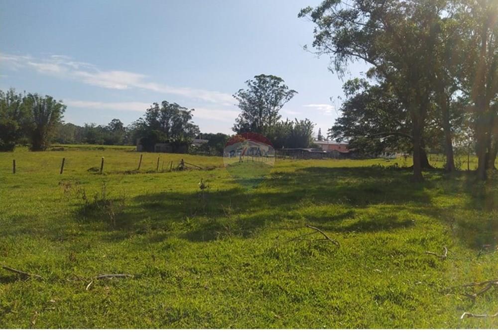 Terreno - Venda - Terra de Areia , Rio Grande do Sul - b420cbf6-f92c-4900-8b64-bcb6097b13d0.jpg - 612671028-42