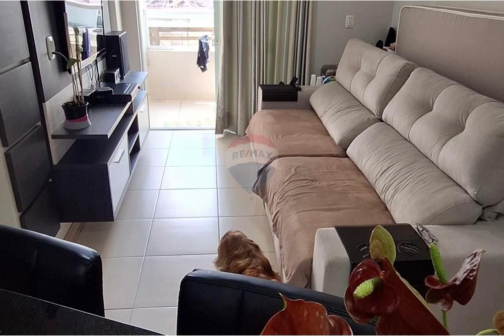 Apartamento - Venda - Passo Fundo , Rio Grande do Sul - Imagem do WhatsApp de 2025-03-18 à(s) 14.38.42_6fcee0de.jpg - 610271050-56
