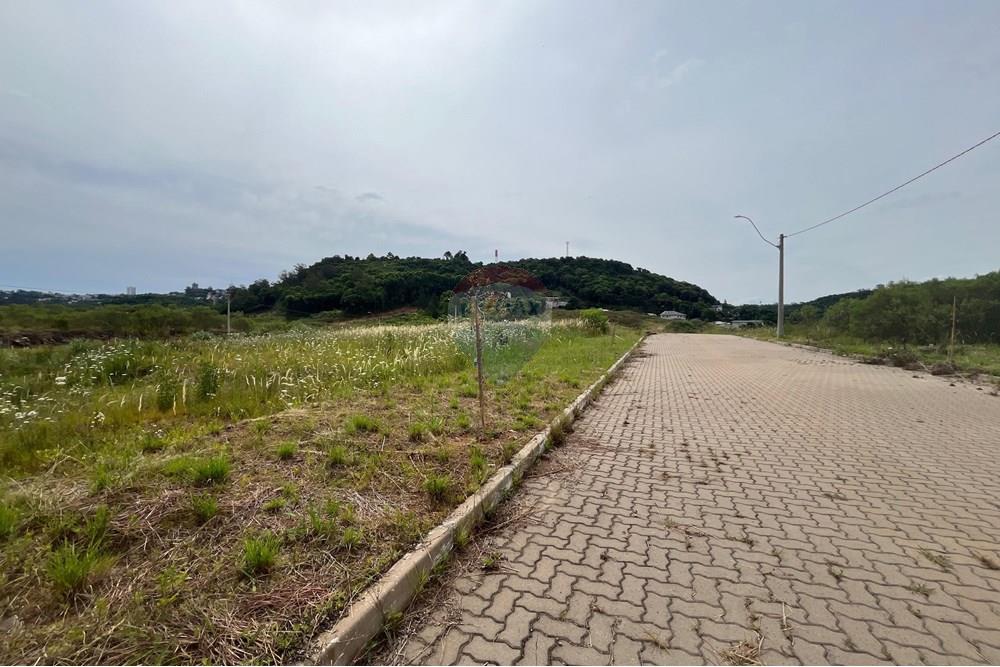 Terreno - Venda - Bento Gonçalves , Rio Grande do Sul - WhatsApp Image 2024-12-11 at 14.13.52.jpeg - 610331038-19