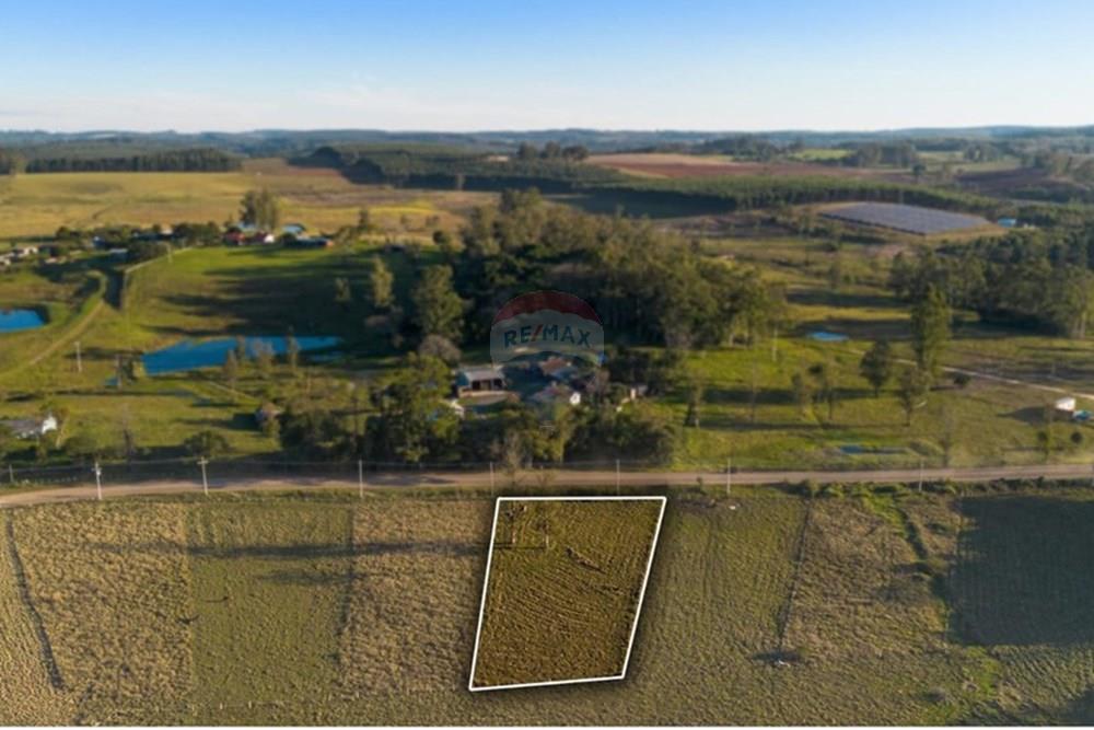 Terreno - Venda - Montenegro , Rio Grande do Sul - WhatsApp Image 2025-07-09 at 15.01.38.jpeg - 610091003-65