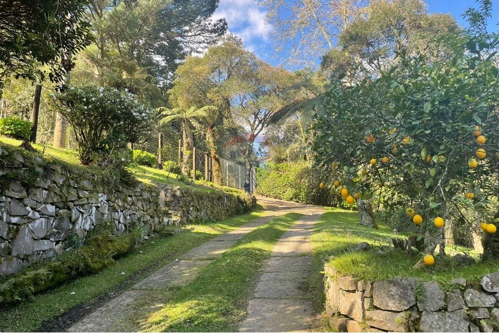 Casa - Venda - São Francisco de Paula , Rio Grande do Sul - 3b151d0e-f141-41be-87ff-b81dde249906.JPG - 610131051-1