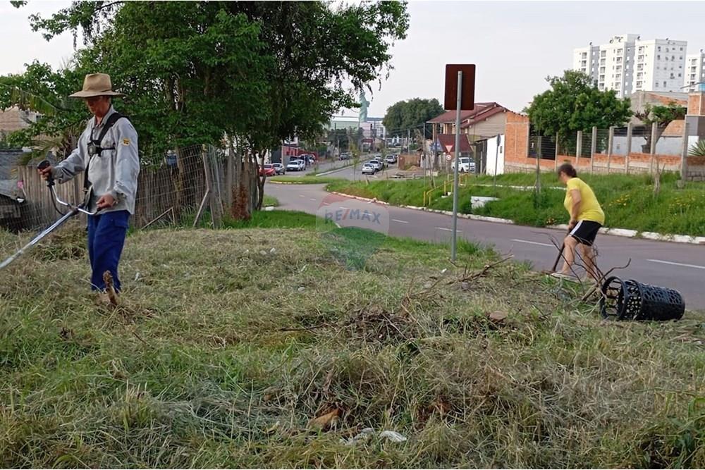 Terreno - Venda - Guaíba , Rio Grande do Sul - 438a5633-cfef-4d3d-8b0e-6515b9ab2a94.jpeg - 612781010-15
