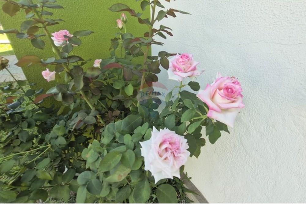 Apartamento - Venda - Sapucaia do Sul , Rio Grande do Sul - APTO R MANOEL SERAFIM 792 BL D APTO 303 (12).jpeg - 612561040-32