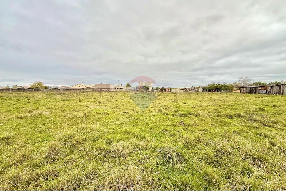 Chácara / Sítio / Fazenda - Venda - São Gabriel , Rio Grande do Sul - WhatsApp Image 2025-07-08 at 09.39.04.jpeg - 612631045-18