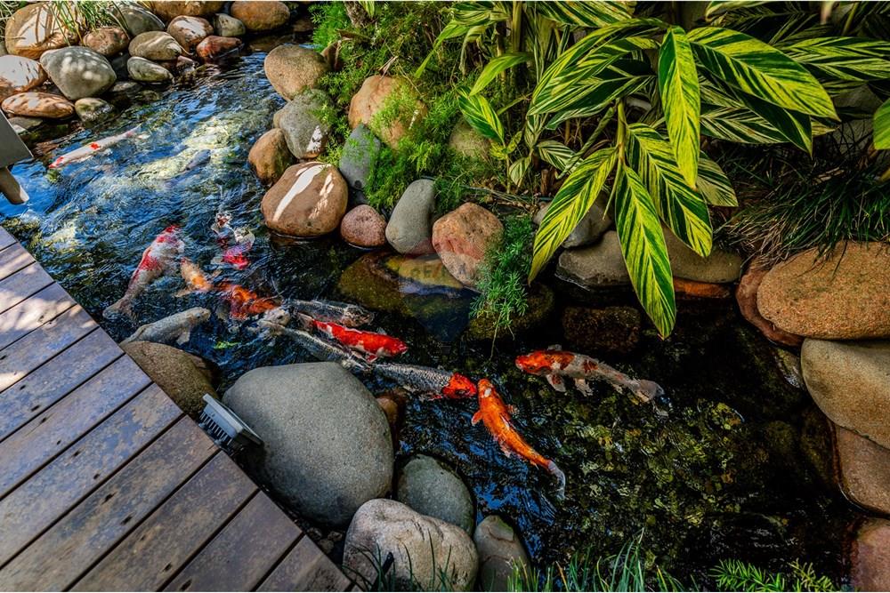 Casa - Venda - Porto Alegre , Rio Grande do Sul - casa-203.jpg - 612481066-249