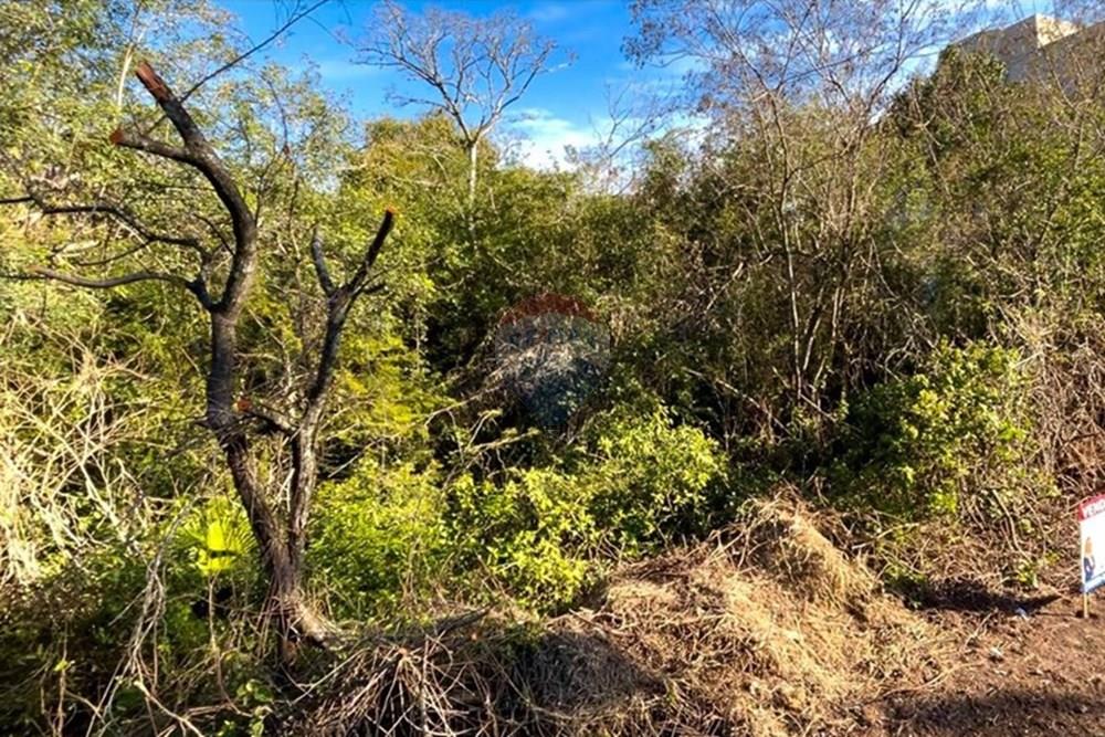 Terreno - Venda - Guaíba , Rio Grande do Sul - Imagem do WhatsApp de 2025-08-28 à(s) 16.10.24_d802b5d0.jpg - 612781019-16