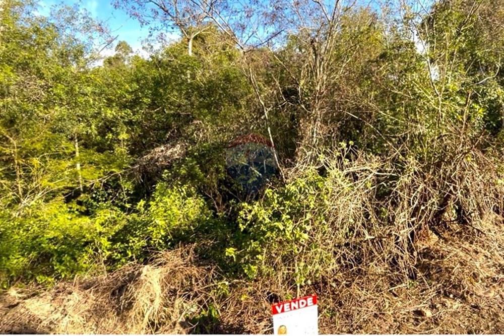 Terreno - Venda - Guaíba , Rio Grande do Sul - Imagem do WhatsApp de 2025-08-28 à(s) 16.10.23_9d5b74ad.jpg - 612781019-16
