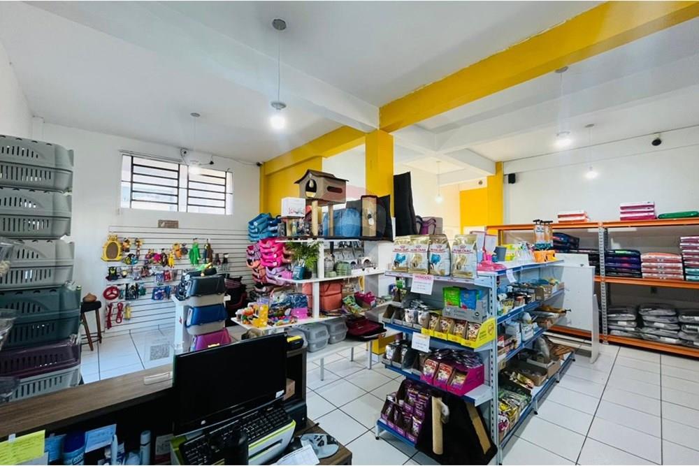 Cj. Comercial/ Sala - Venda - Erechim , Rio Grande do Sul - WhatsApp Image 2025-10-23 at 11.10.10 (2).jpeg - 612761037-36