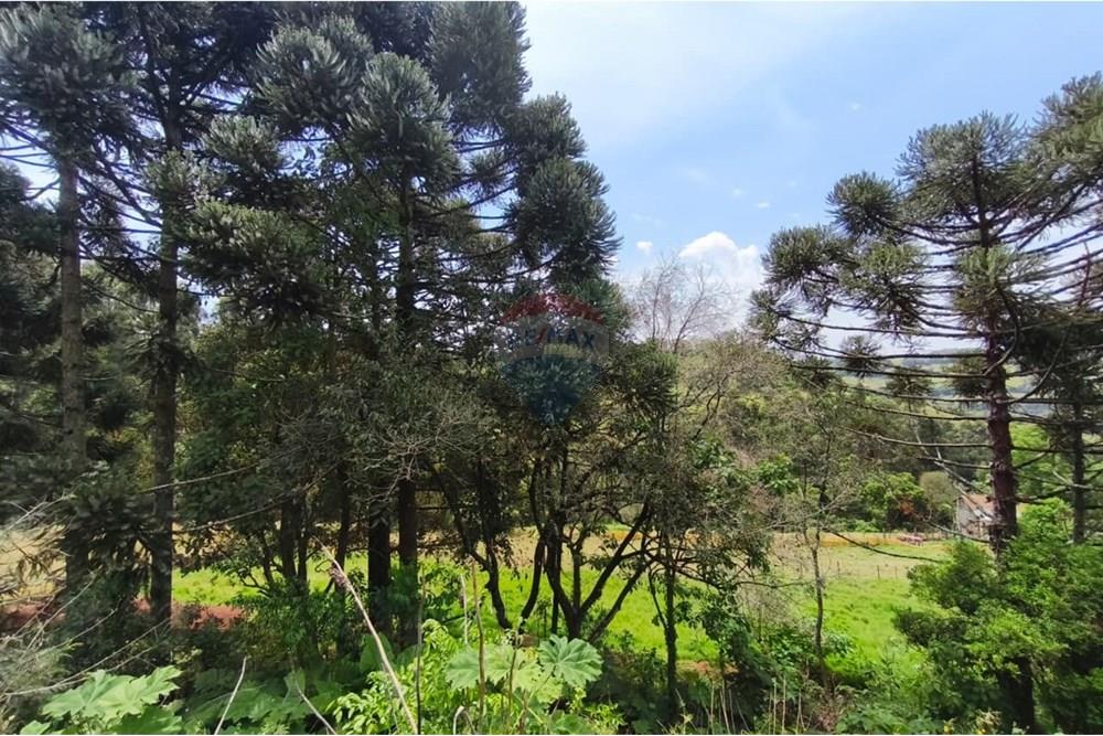 Terreno - Venda - São Valentim , Rio Grande do Sul - WhatsApp Image 2025-10-11 at 13.51.05 (2).jpeg - Fachada - 612761006-54