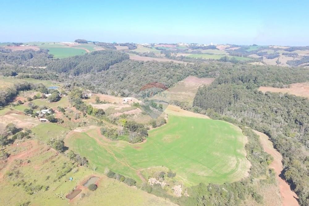 Chácara / Sítio / Fazenda - Venda - Trindade do Sul , Rio Grande do Sul - IMG-20250814-WA0072.jpg - 610231004-94