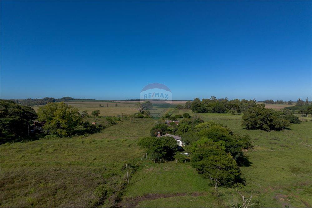 Chácara / Sítio / Fazenda - Venda - Santa Maria , Rio Grande do Sul - 9 - 610311056-76