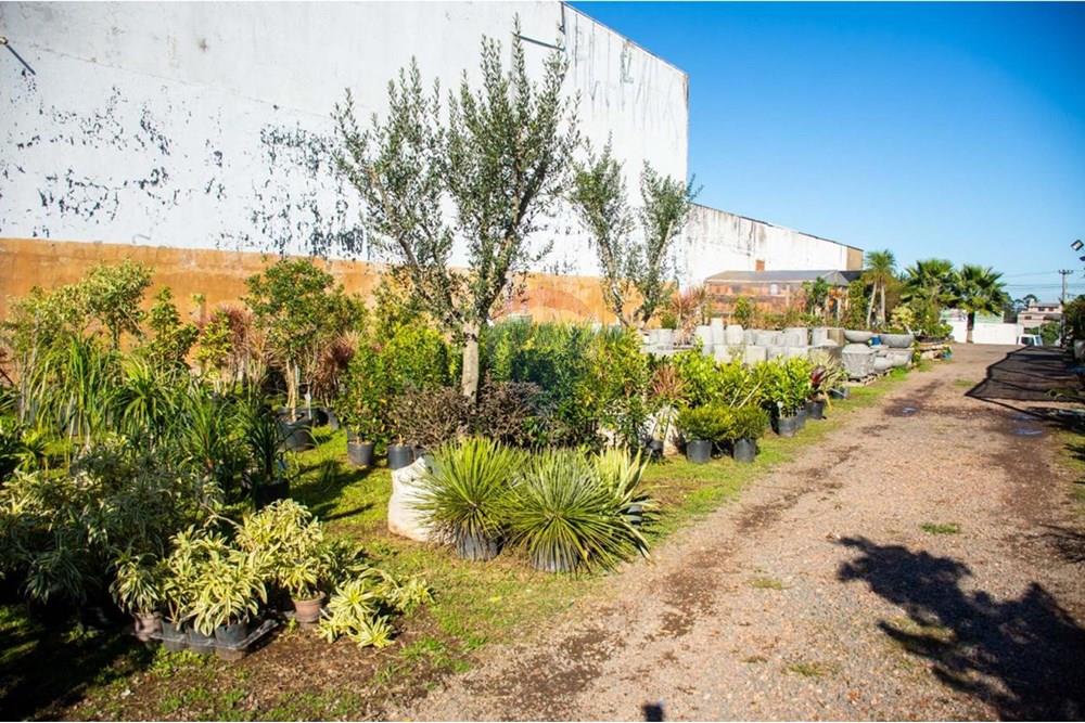 Terreno - Venda - Gravataí , Rio Grande do Sul - Imagem do WhatsApp de 2025-06-18 à(s) 10.45.24_decee79f.jpg - 612551057-27