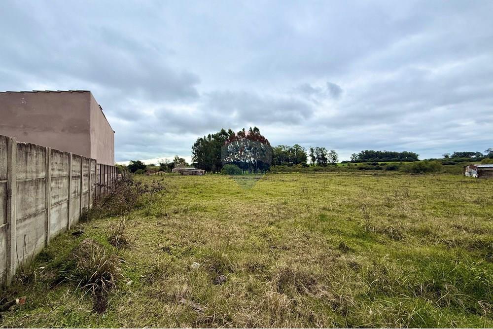 Chácara / Sítio / Fazenda - Venda - São Gabriel , Rio Grande do Sul - WhatsApp Image 2025-07-08 at 09.39.03.jpeg - 612631045-18